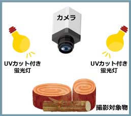 リアルスキャン