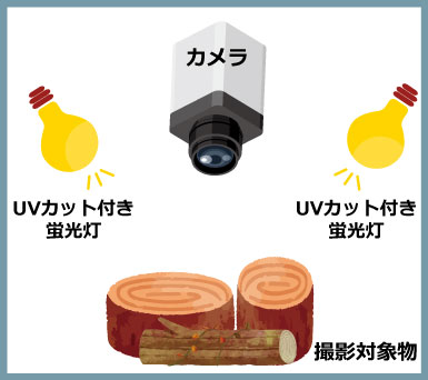 リアルスキャン
